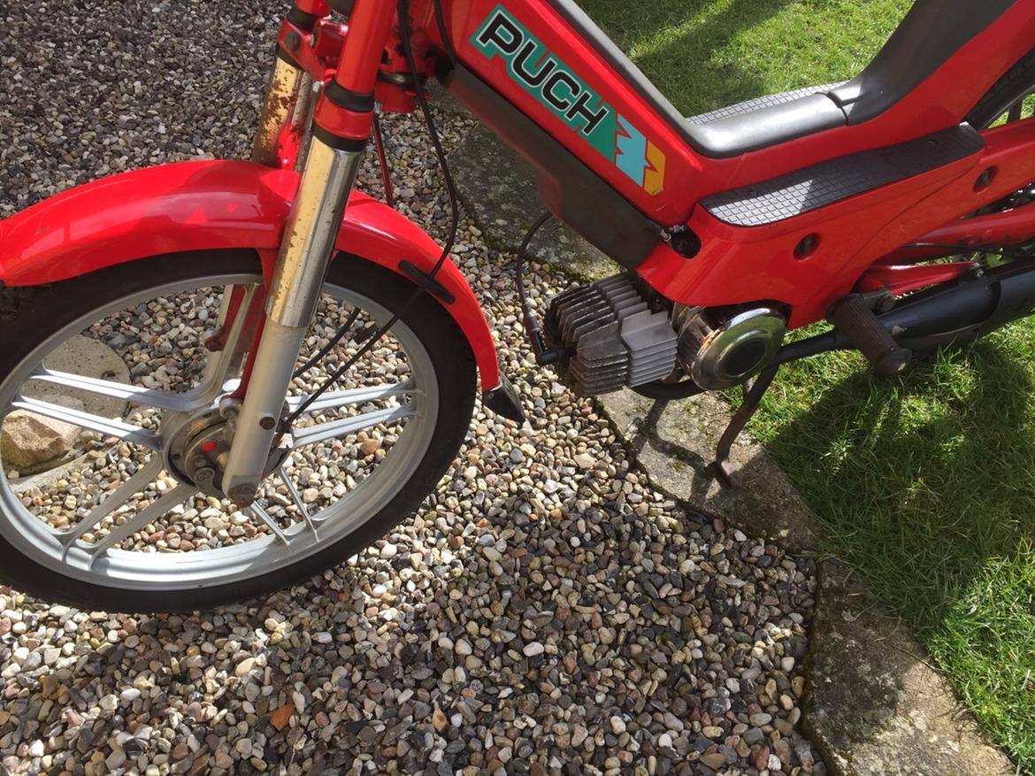 Puch Maxi P1 billede 6