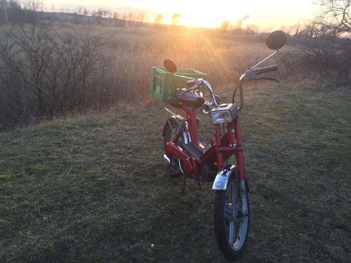 Vespa Bravo billede 1