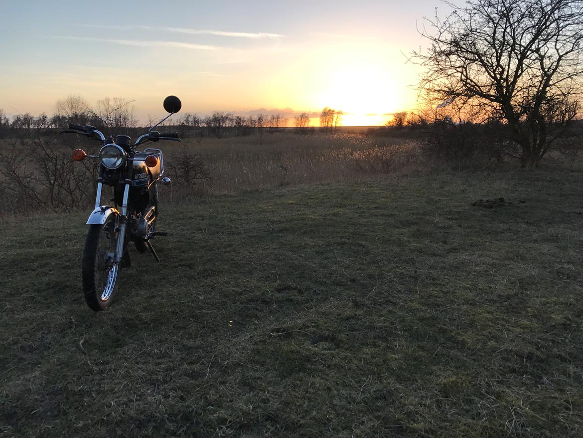 Suzuki Dm50 billede 3