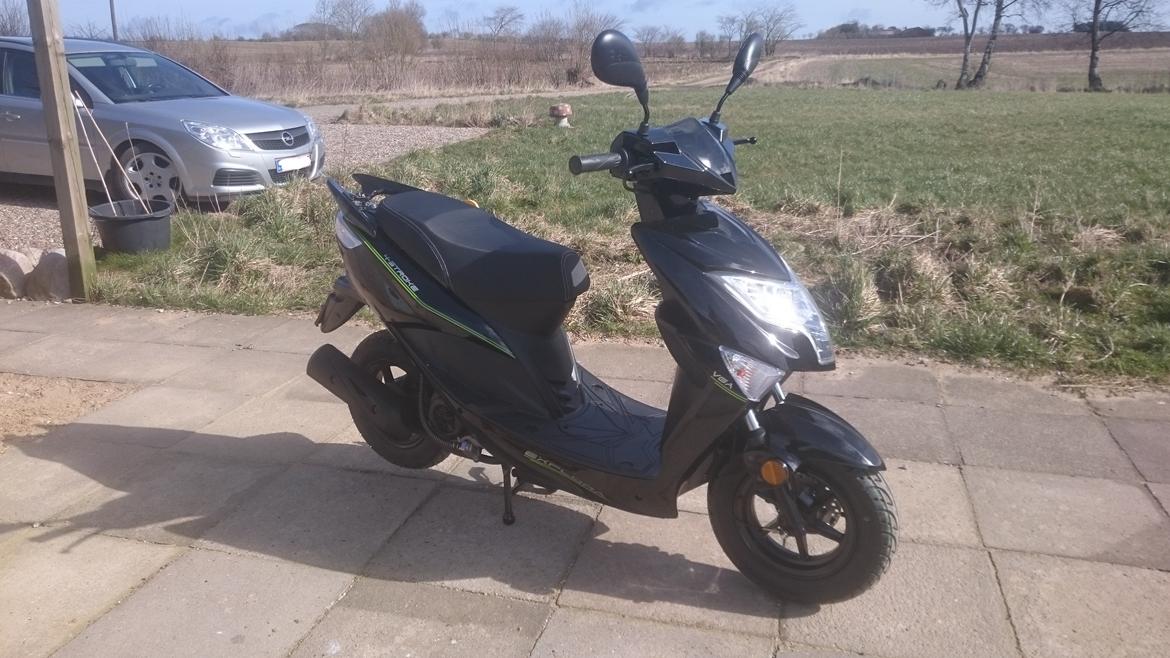 VGA Explora - Forlygten har faktig pæn design da den breder sig ud over fronten som en v billede 2