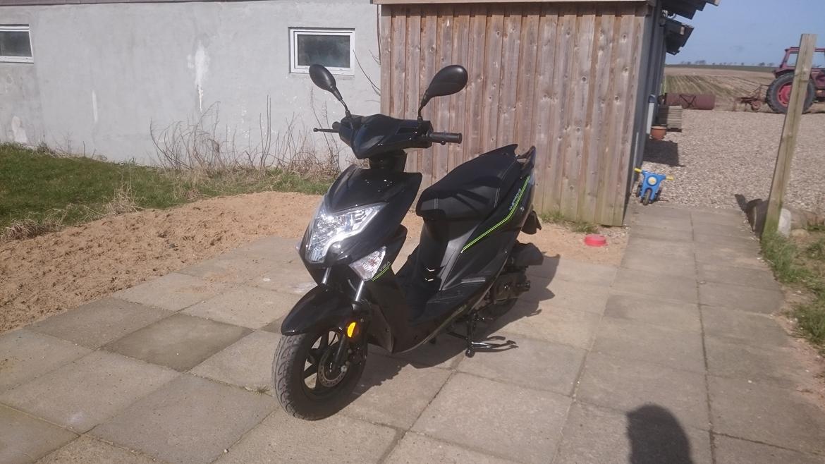 VGA Explora - Står og soler sig på fliserne billede 1