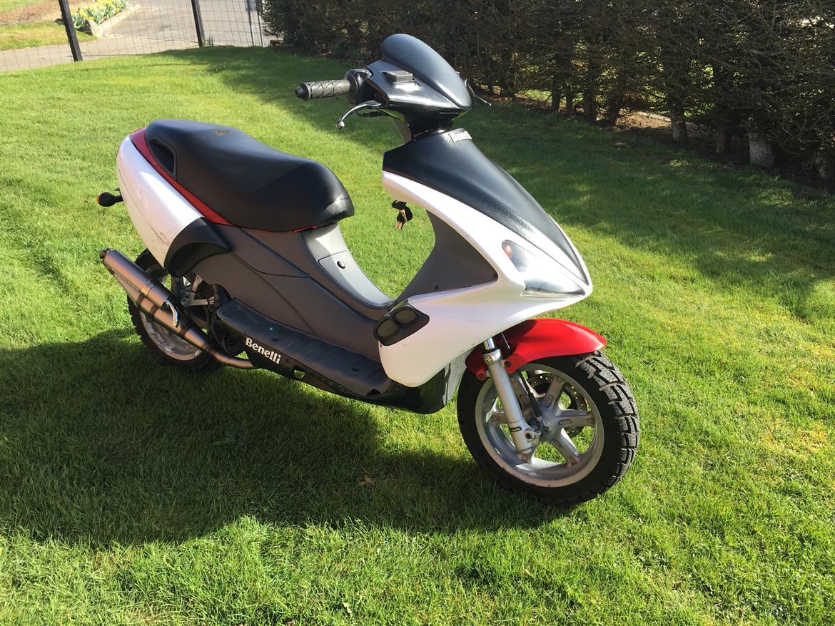 Benelli 491 ST (solgt) billede 11