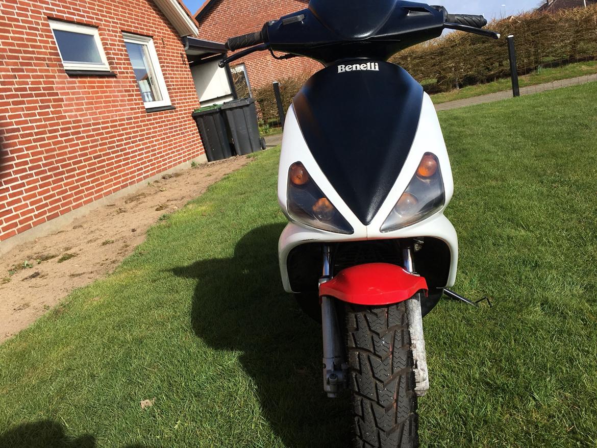 Benelli 491 ST (solgt) billede 12