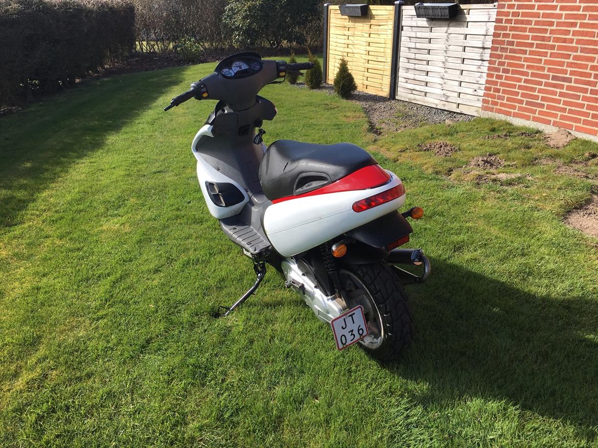 Benelli 491 ST (solgt) billede 14