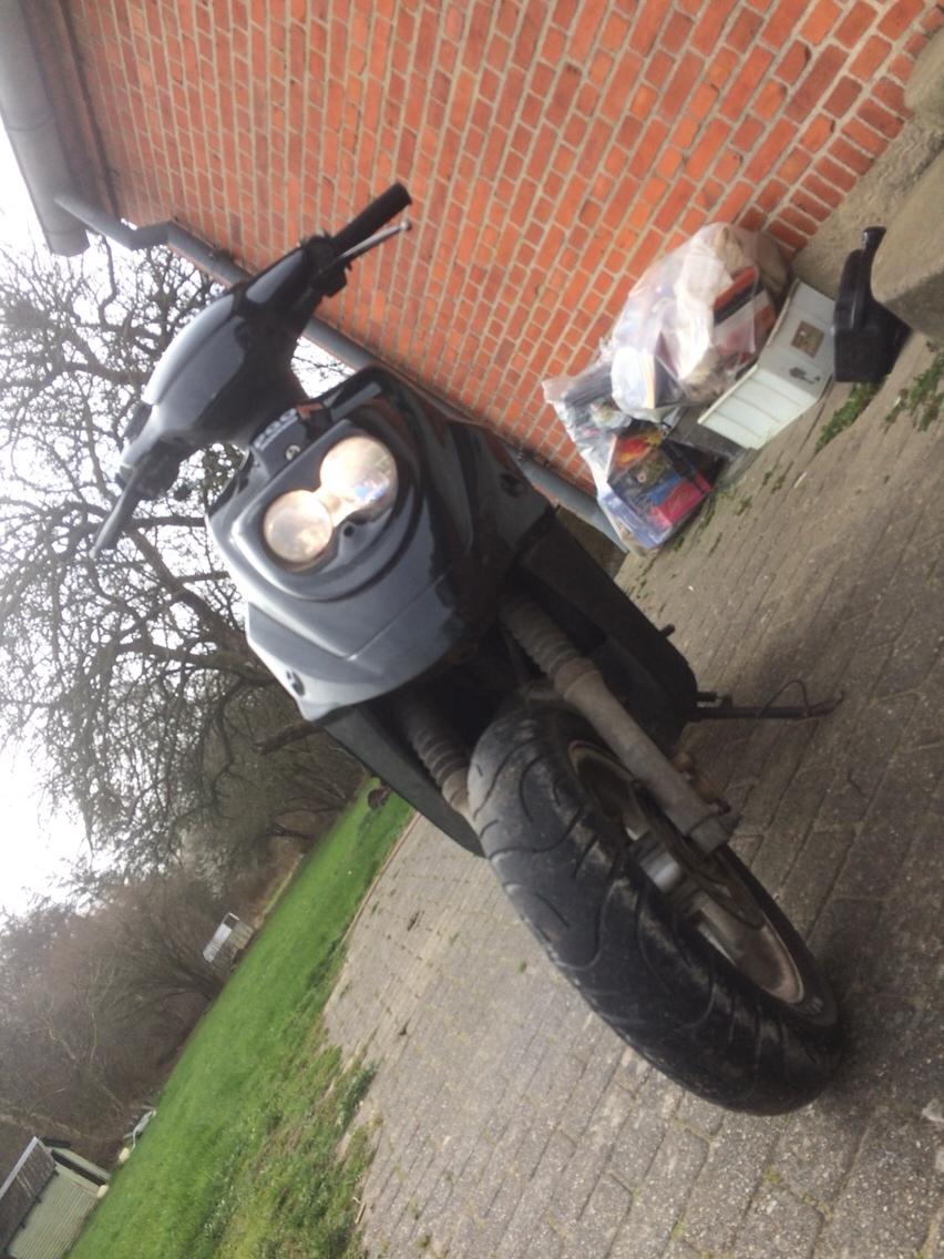 PGO Hot 50 billede 2