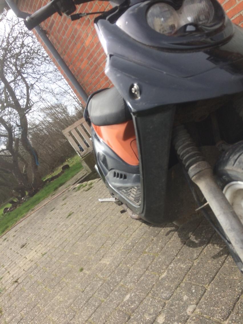 PGO Hot 50 billede 13