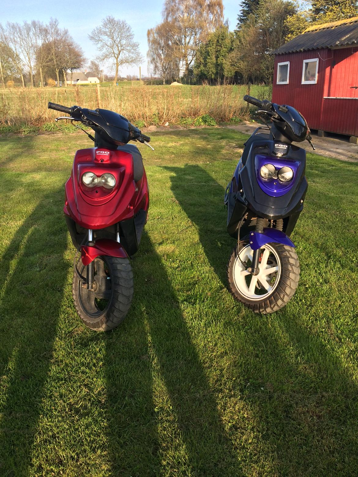 PGO Pgo hot 50 billede 4