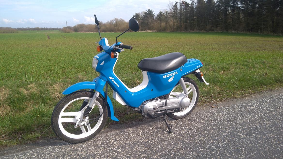 Honda Wallaroo restureret. billede 1