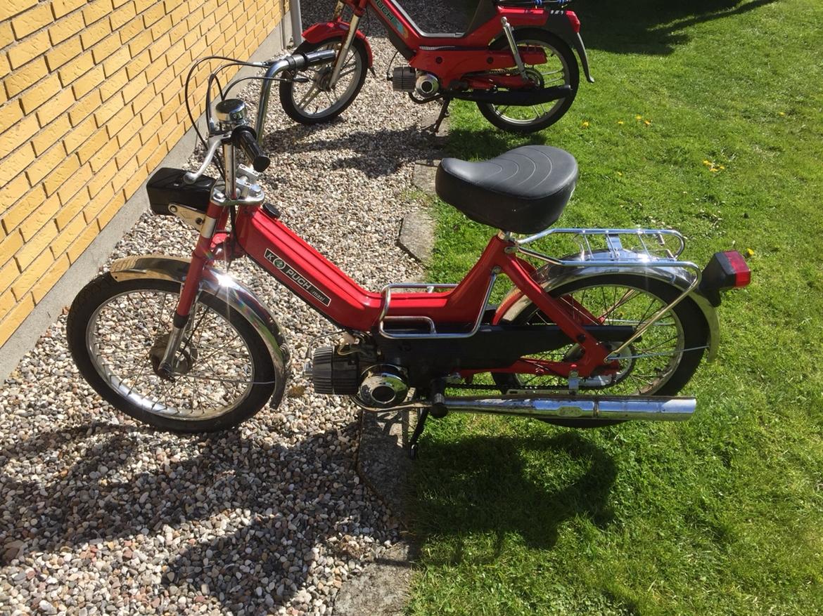 Puch Maxi billede 3