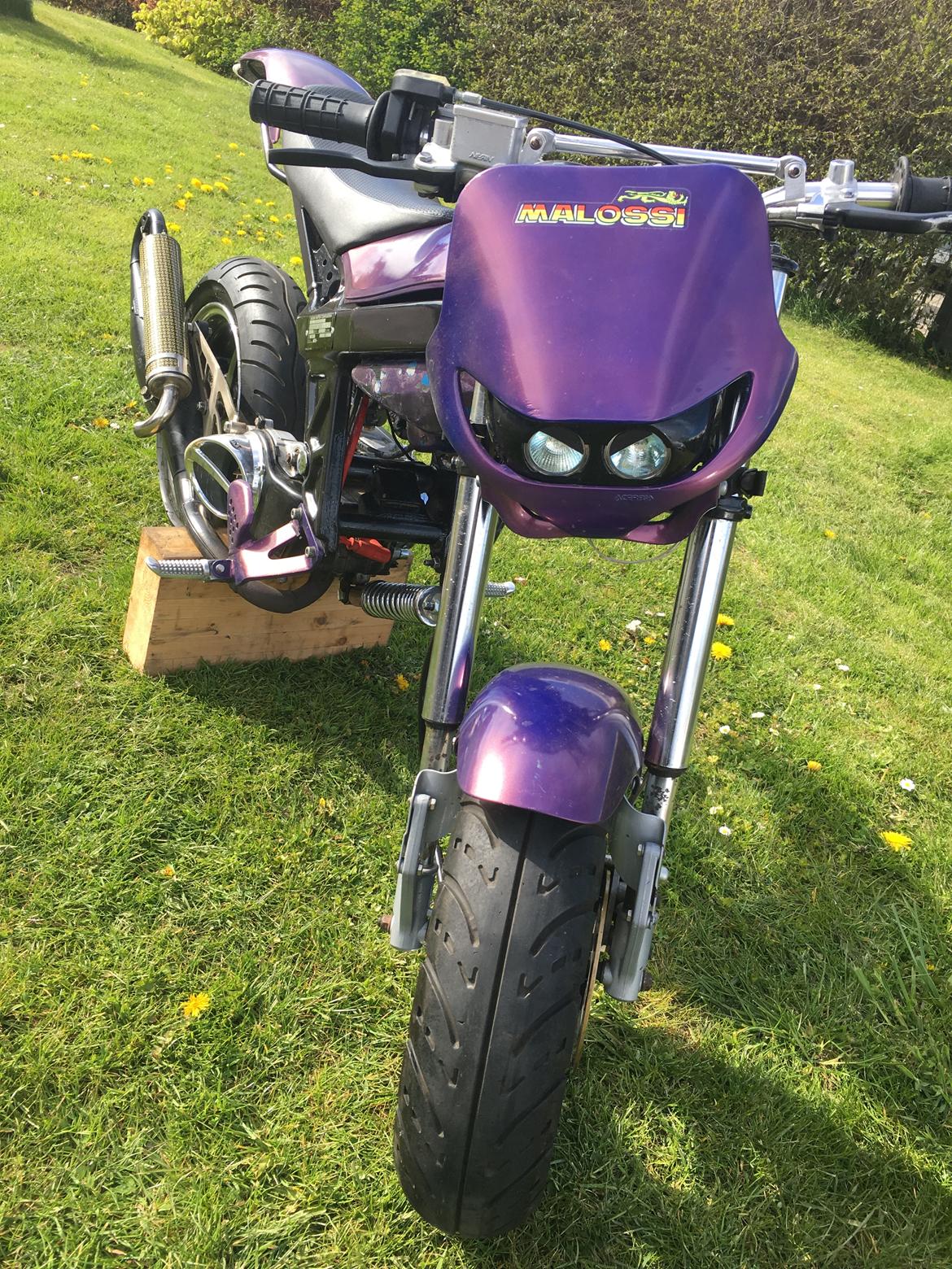 Suzuki Street magic  [TIdl.scooter billede 7