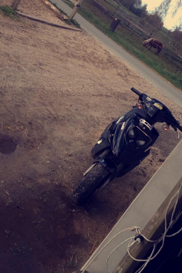 PGO Hot 50 - Der står den jo godt;) billede 1