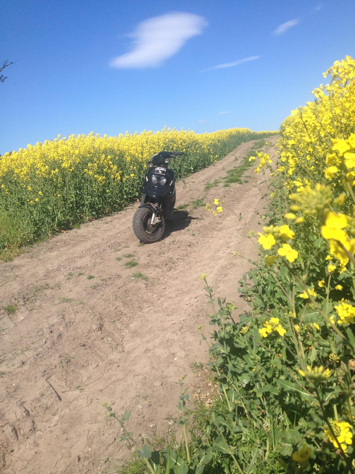 PGO Hot 50 - Aner ikk hvordan jeg kom derud ;) billede 4