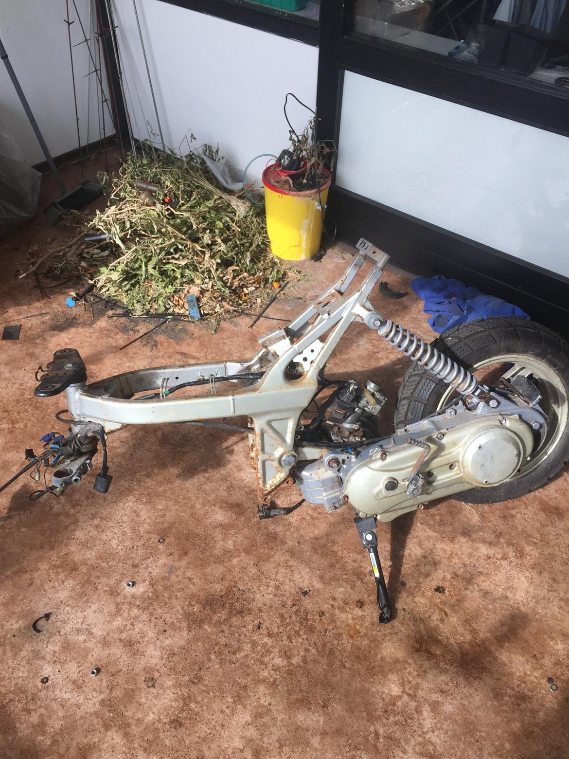 Suzuki Street magic billede 4