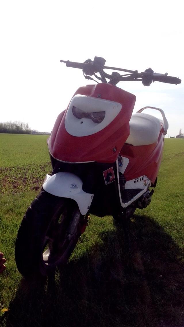 PGO Hot 50 12" billede 17