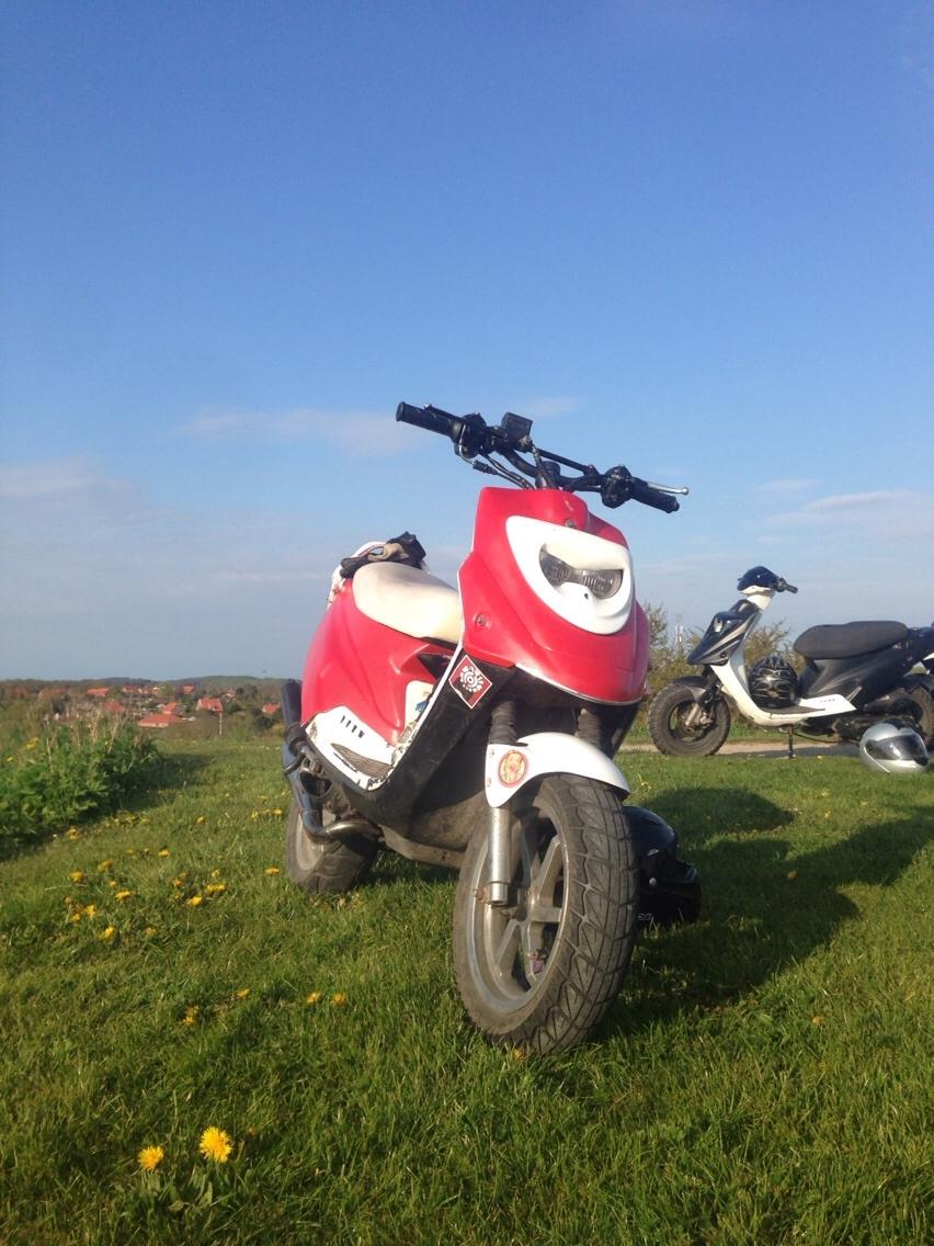 PGO Hot 50 12" billede 15