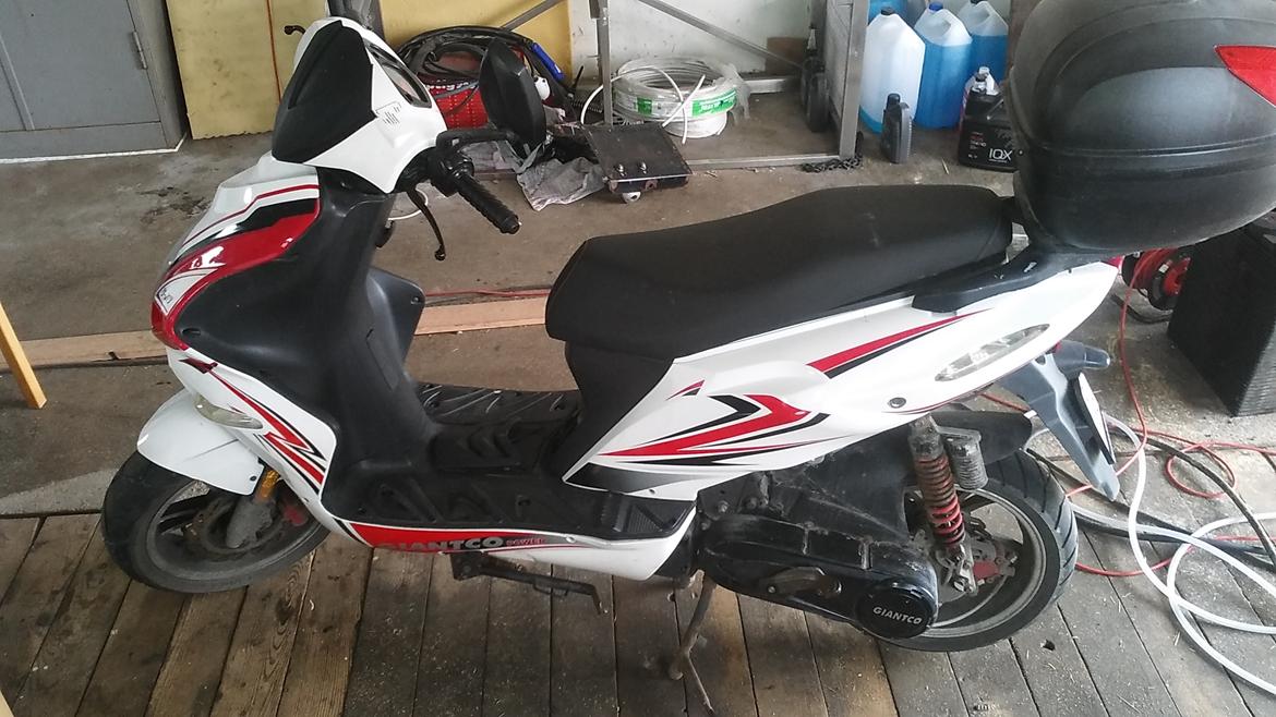 Giantco G-10 billede 1