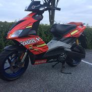 Aprilia Sr50 Factory Ditech