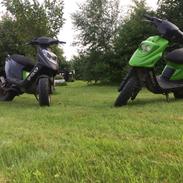 PGO Hot50 •(frøen)•