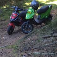 PGO Hot50 •(frøen)•