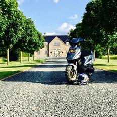 PGO Hot 50 (post scooter)