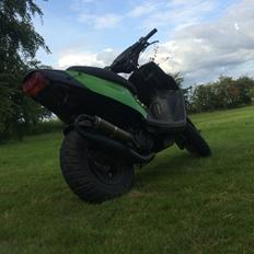 PGO Hot50 •(frøen)•