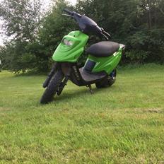 PGO Hot50 •(frøen)•