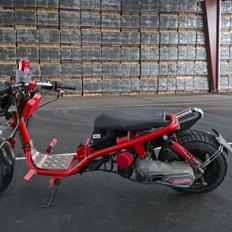 Giantco Spartan (studenter-chopper)