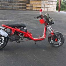 Giantco Spartan (studenter-chopper)