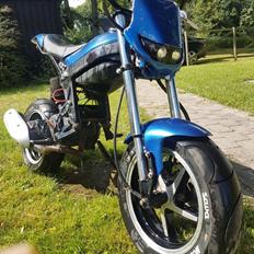 Suzuki Street magic 