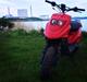 PGO Hot 50 Sport - 95+ km/t - (NYE BILLEDER)