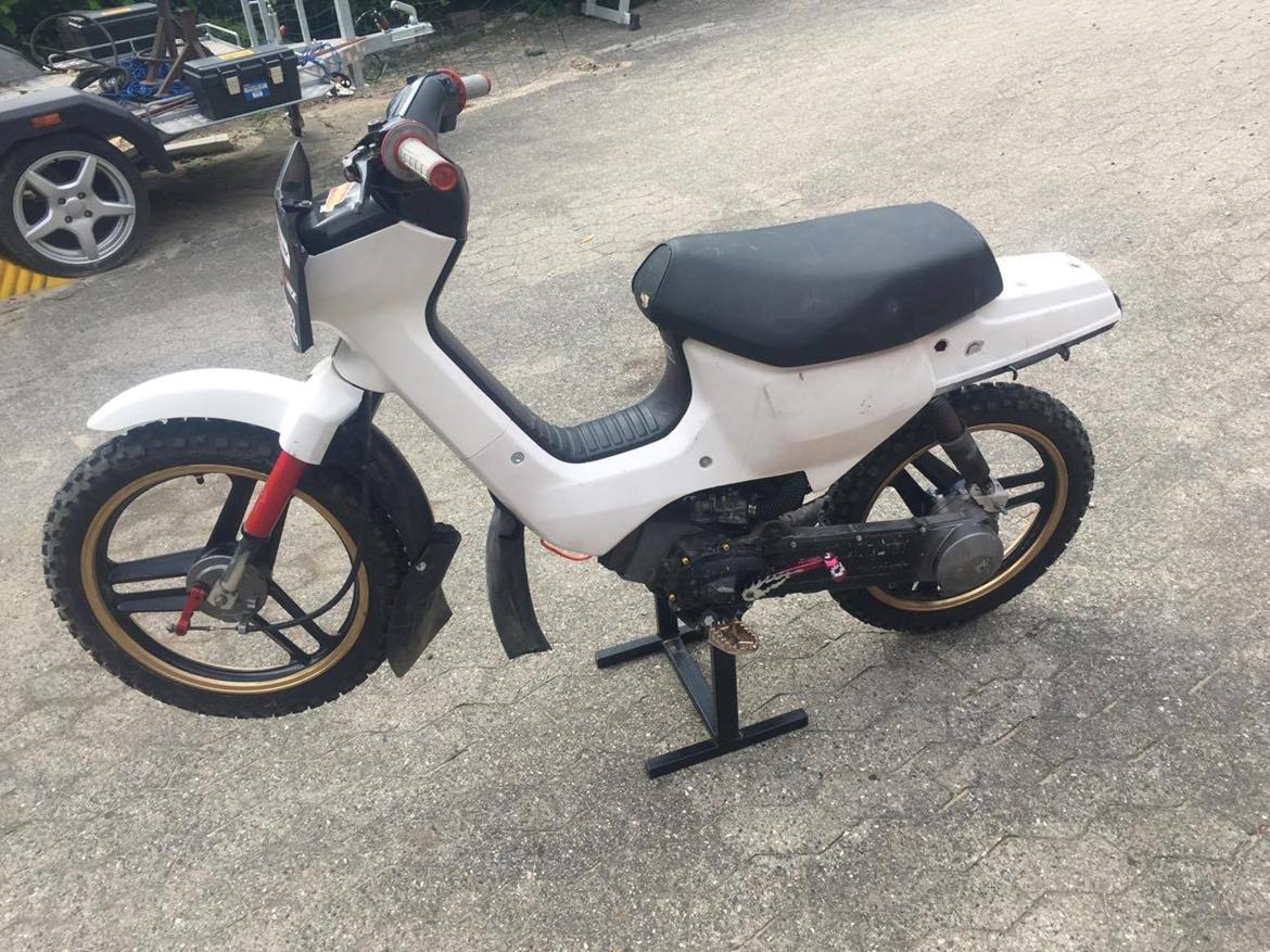 Honda Wallaroo ~ Moped Warriors Edition billede 1