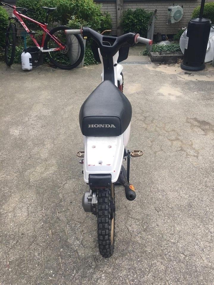 Honda Wallaroo ~ Moped Warriors Edition billede 4