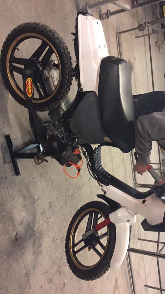 Honda Wallaroo ~ Moped Warriors Edition billede 14