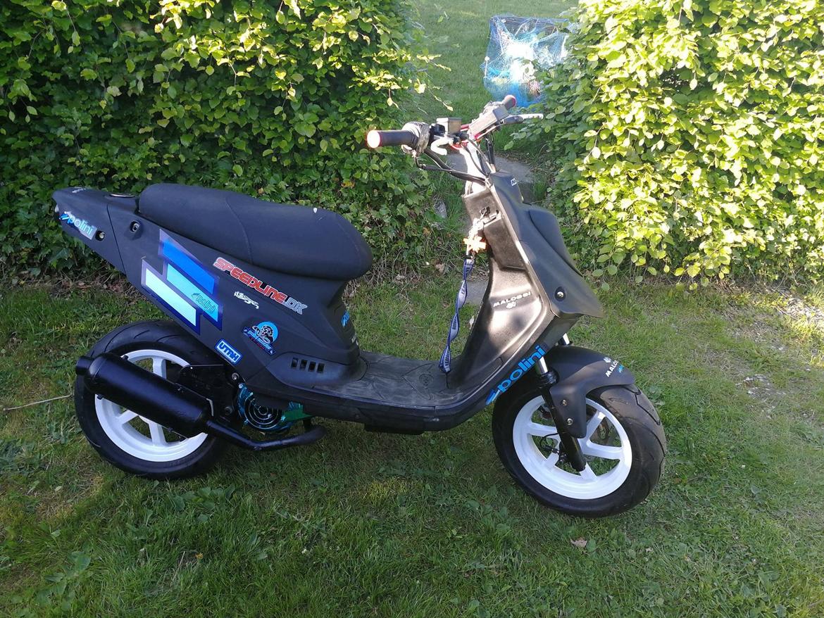 PGO Hot 50 billede 2