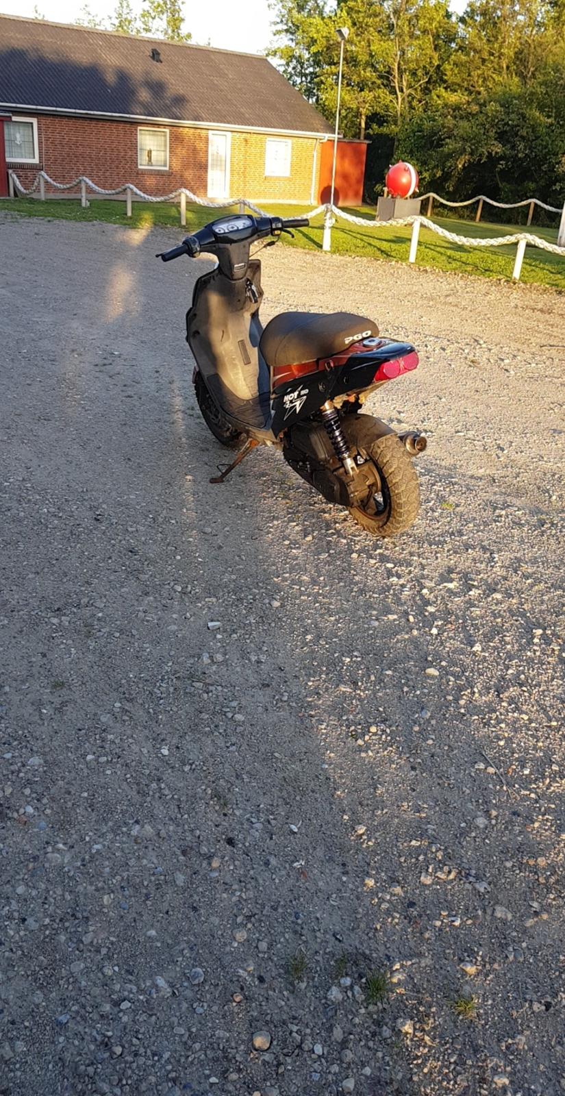 PGO hot50 SP MODEL Solgt  billede 6