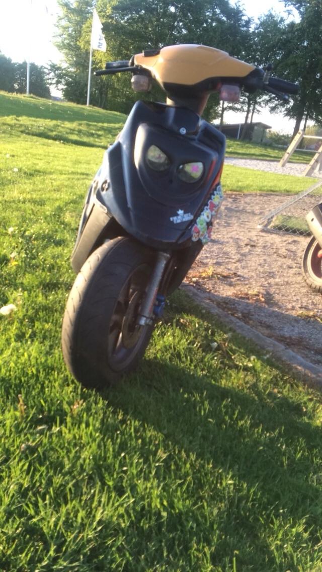 PGO Hot 50 billede 2