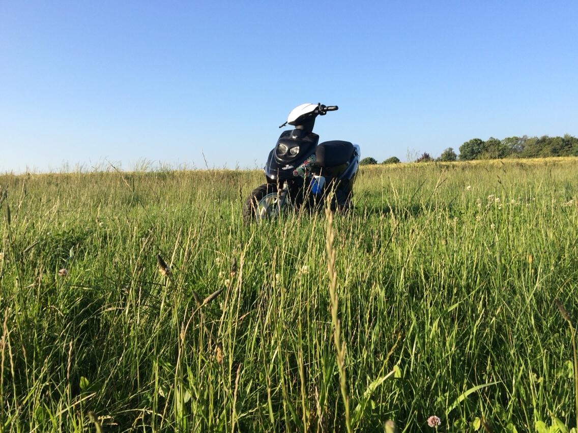 PGO Hot 50 billede 10