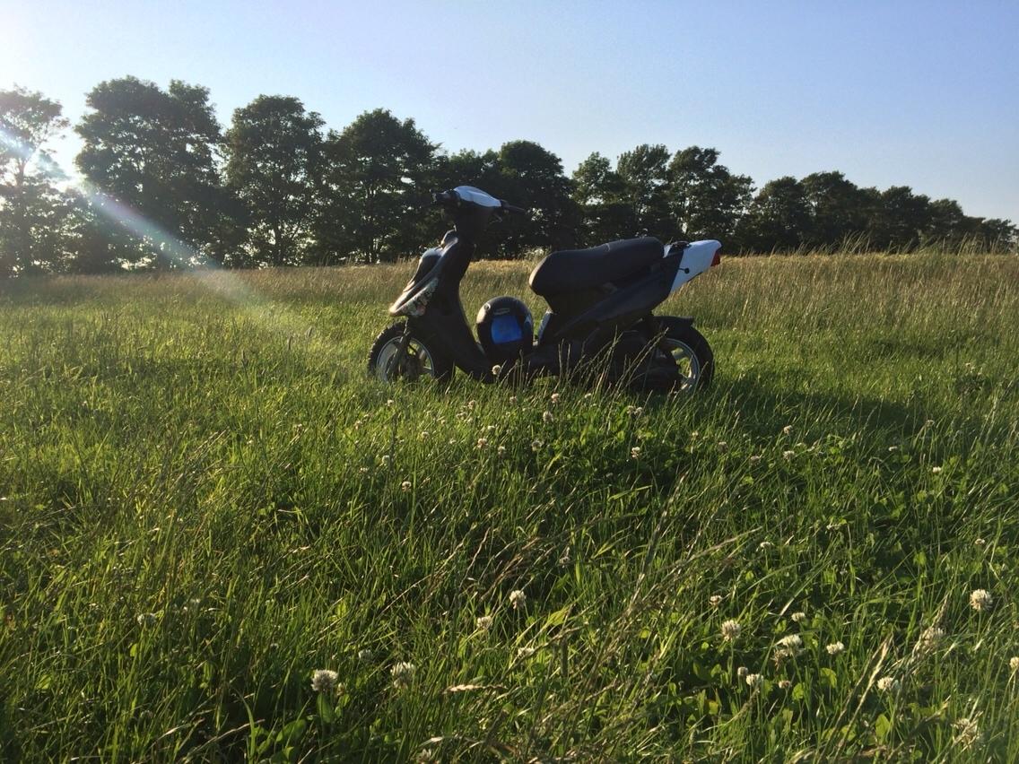 PGO Hot 50 billede 11