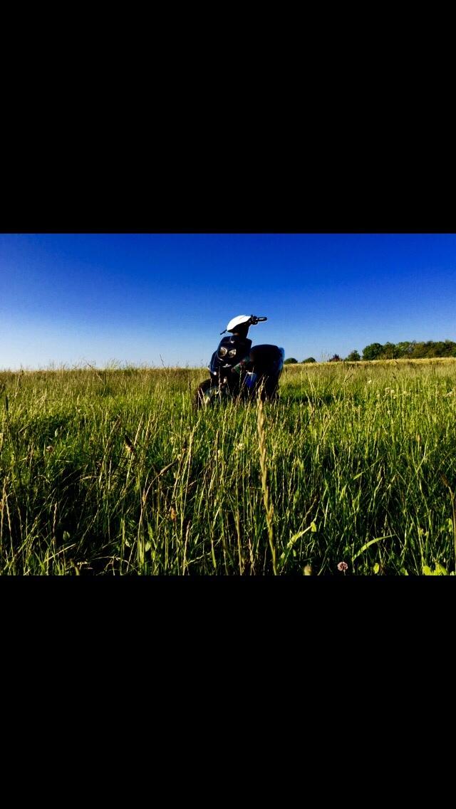 PGO Hot 50 billede 14