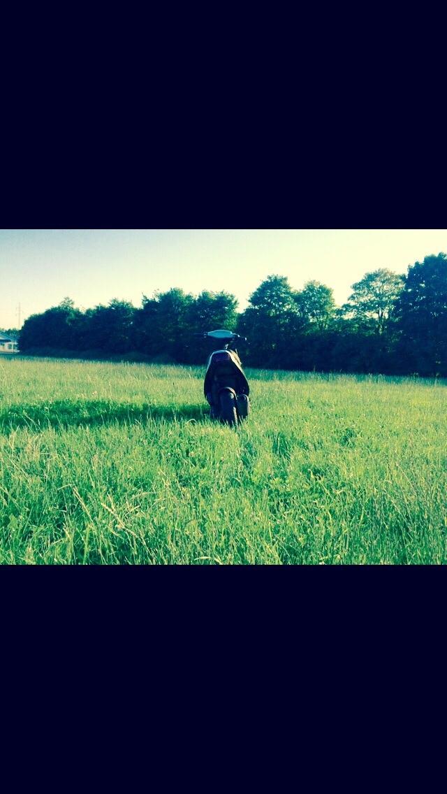 PGO Hot 50 billede 15