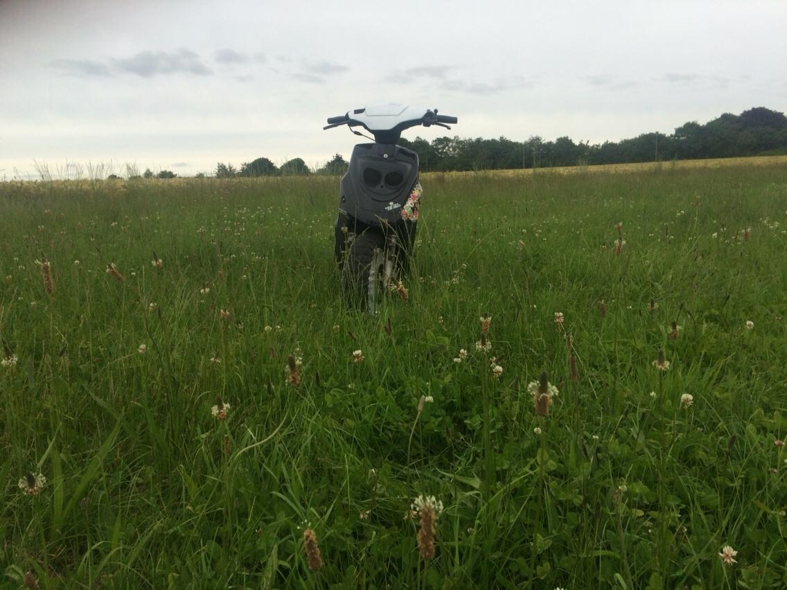 PGO Hot 50 billede 16