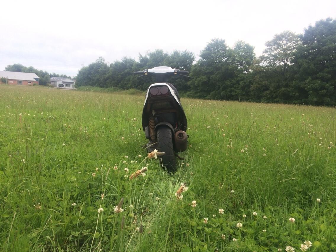 PGO Hot 50 billede 17