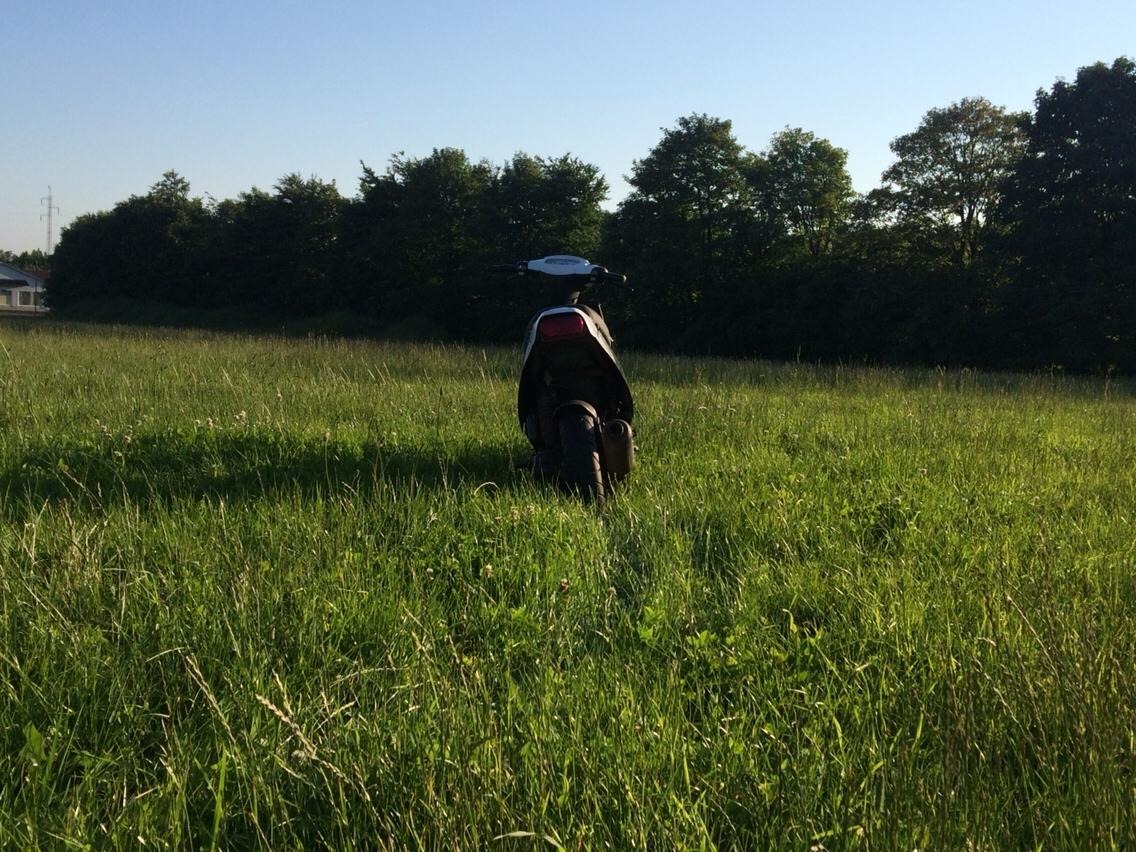 PGO Hot 50 billede 12