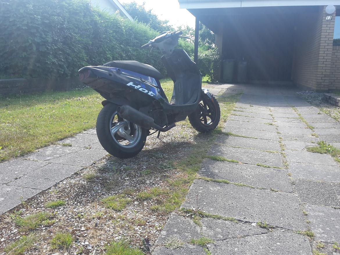 PGO hot 50.  billede 6