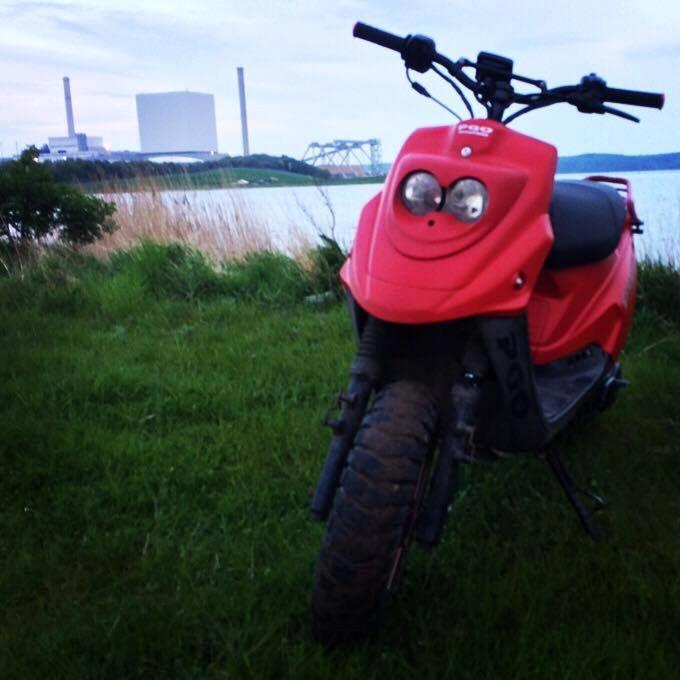 PGO Hot 50 Sport - 95+ km/t - (NYE BILLEDER) billede 1