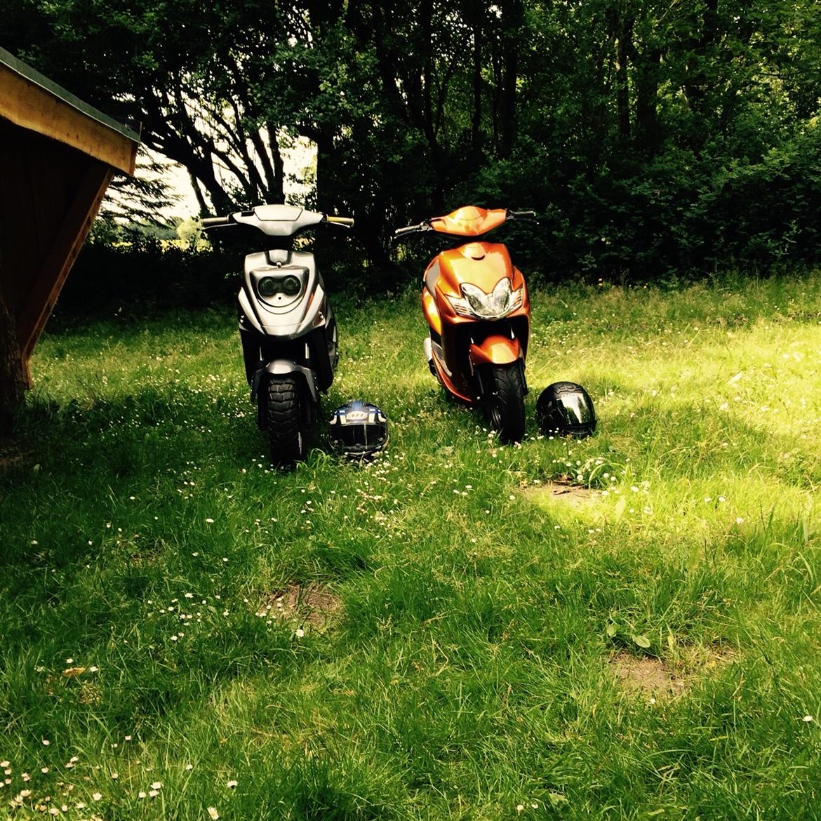 PGO Hot 50 (post scooter) billede 4