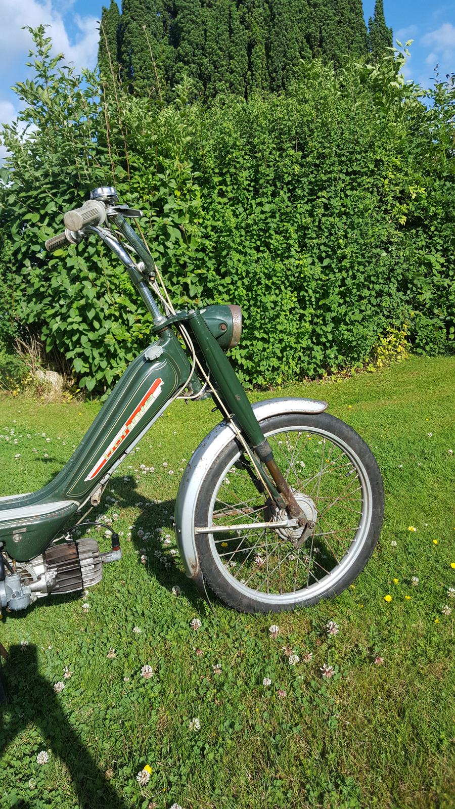 Sachs bonnie billede 5