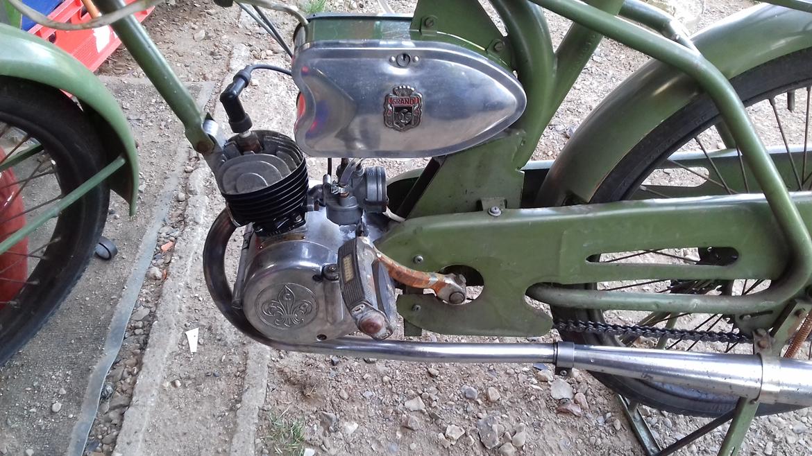 Sco Grande Minor billede 10