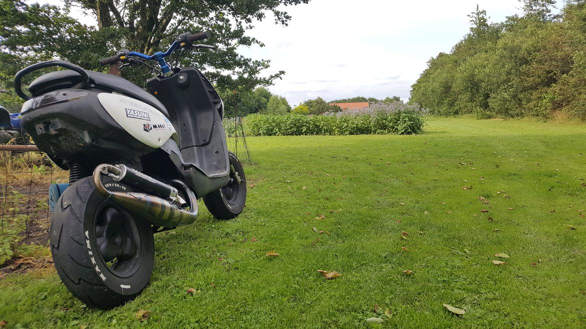 Peugeot TKR AC SD Baneged billede 1