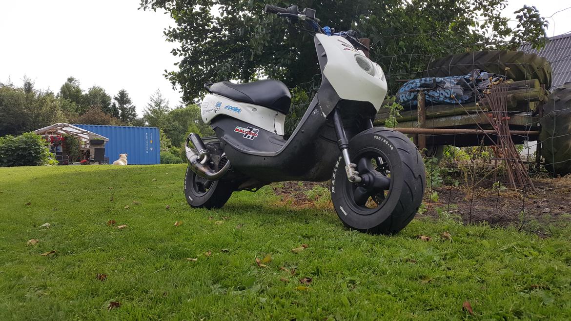 Peugeot TKR AC SD Baneged billede 2